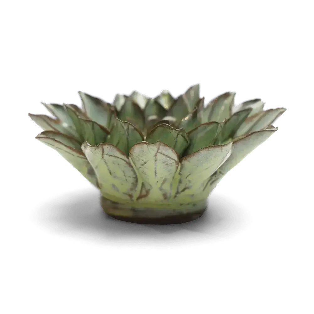 Pear Green Aster Flower