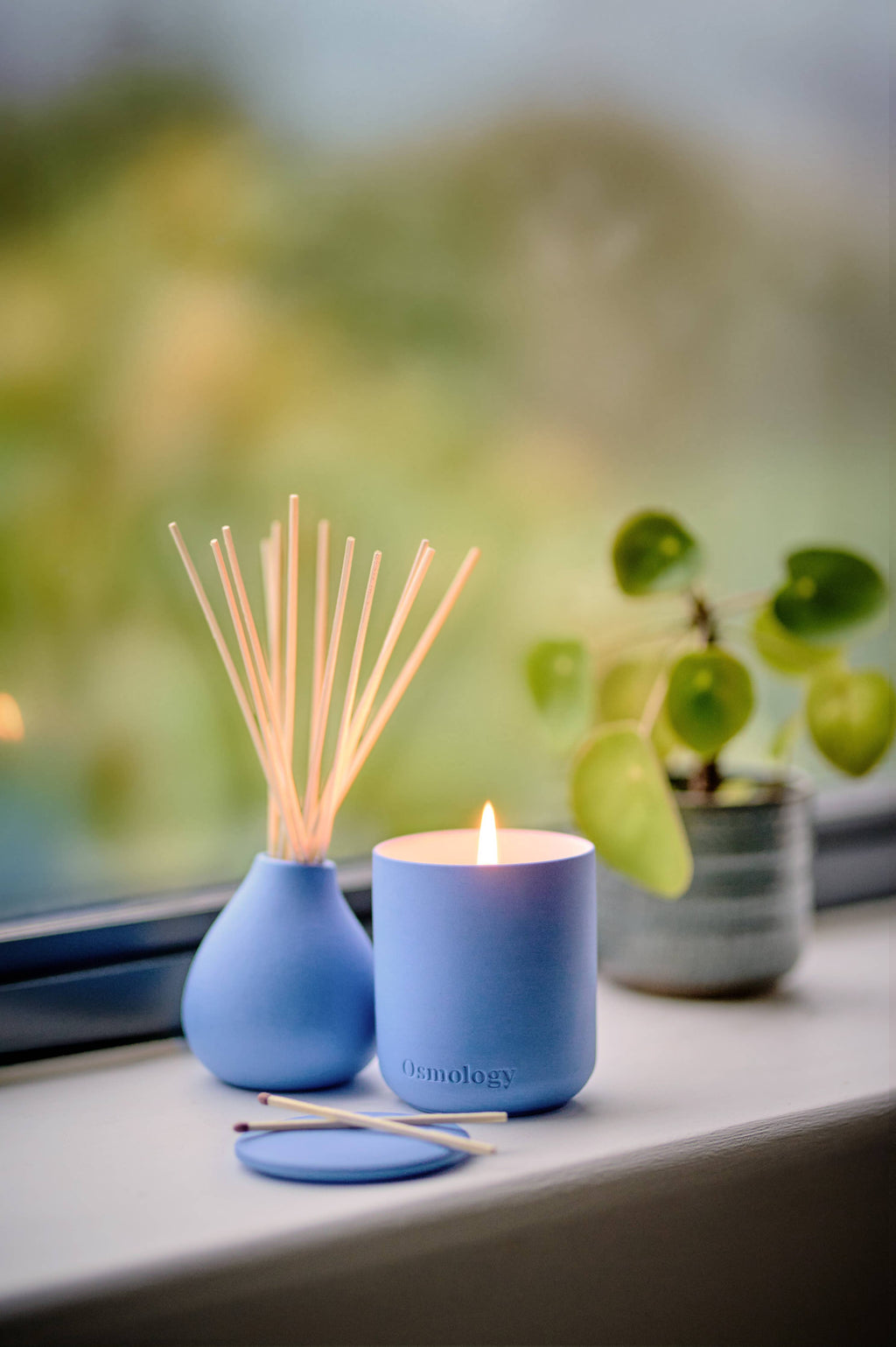 Amalfi Lemon Candle