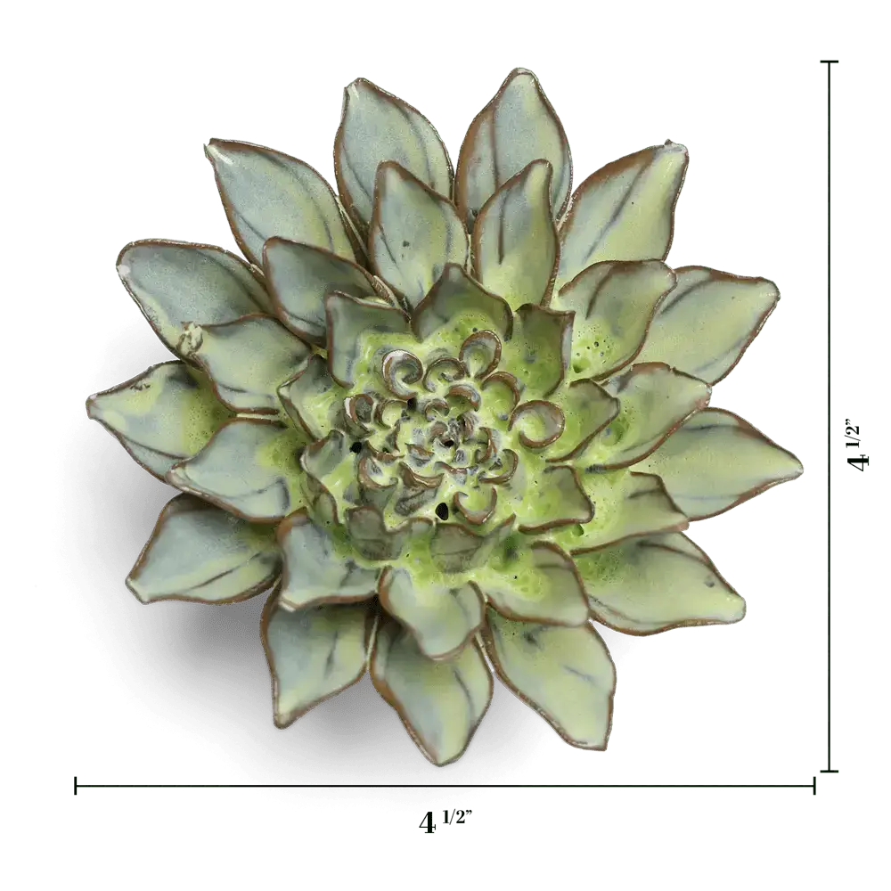 Pear Green Aster Flower