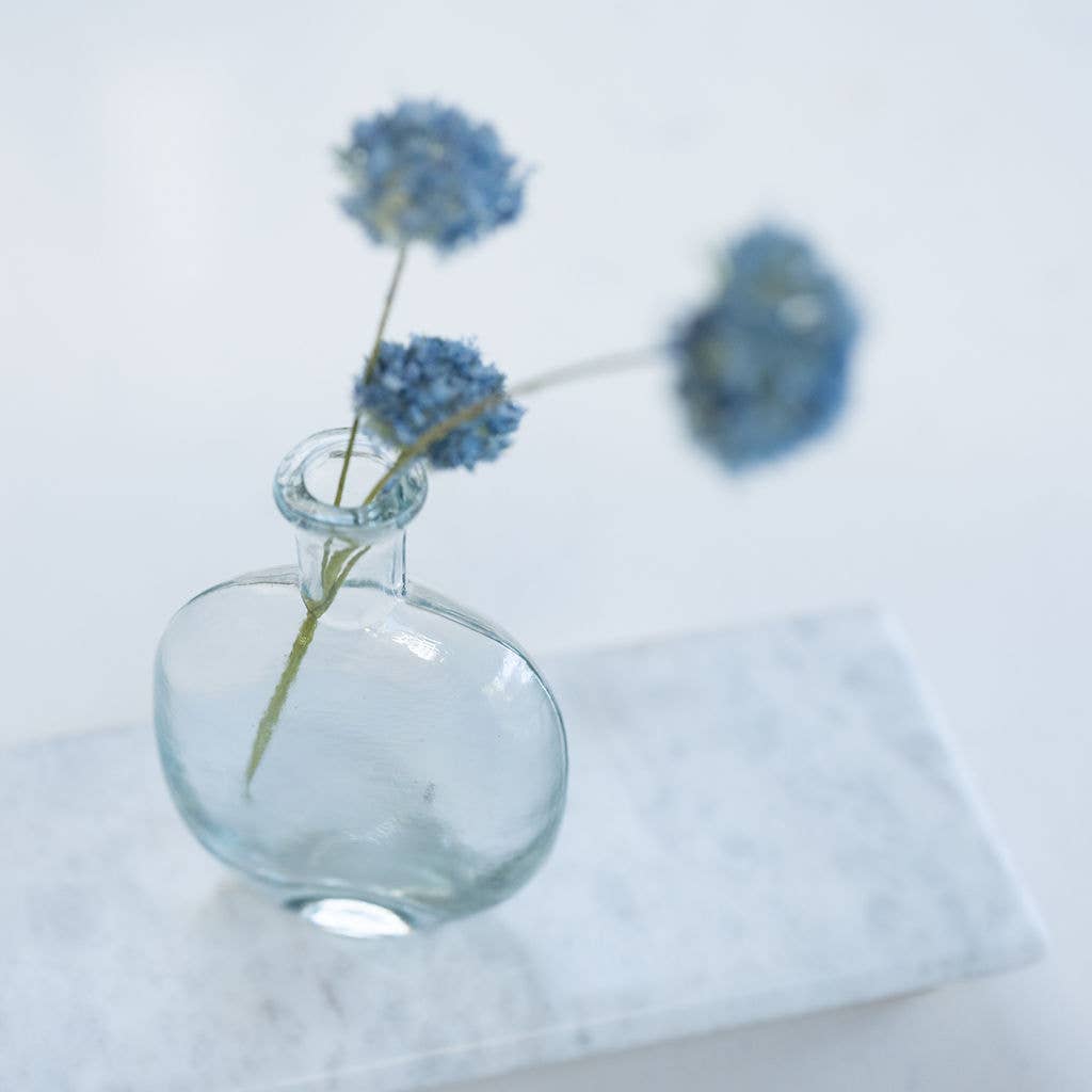 Kara, Single Stem Clear Glass Vase