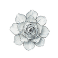 Ceramic Flower - Blue White Camellia
