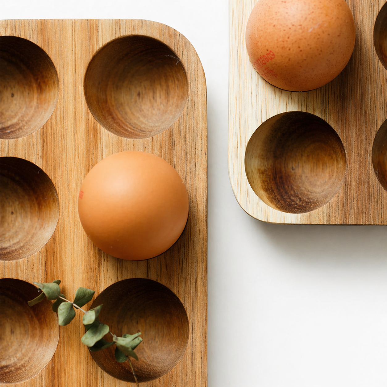 Egg Storage Tray