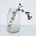Alaia, Ribbed Glass Bud Vase
