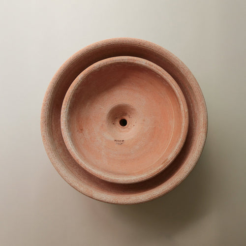 Ada RAW Rosa, 30cm Ø