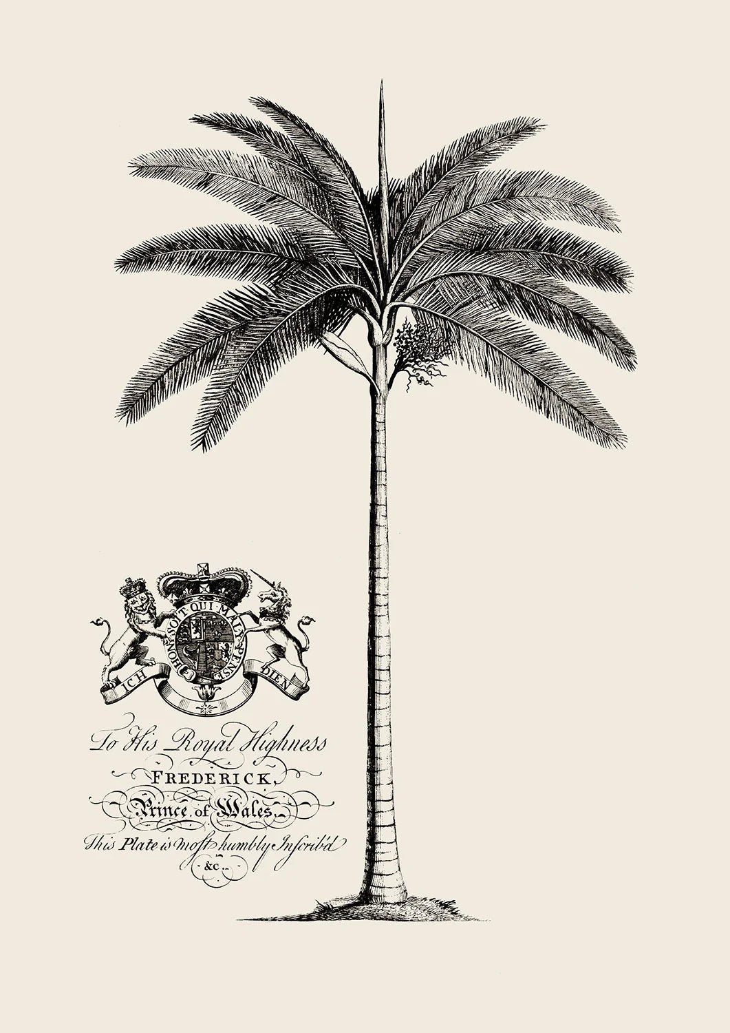 Wonderland Palm 1 - Poster Print
