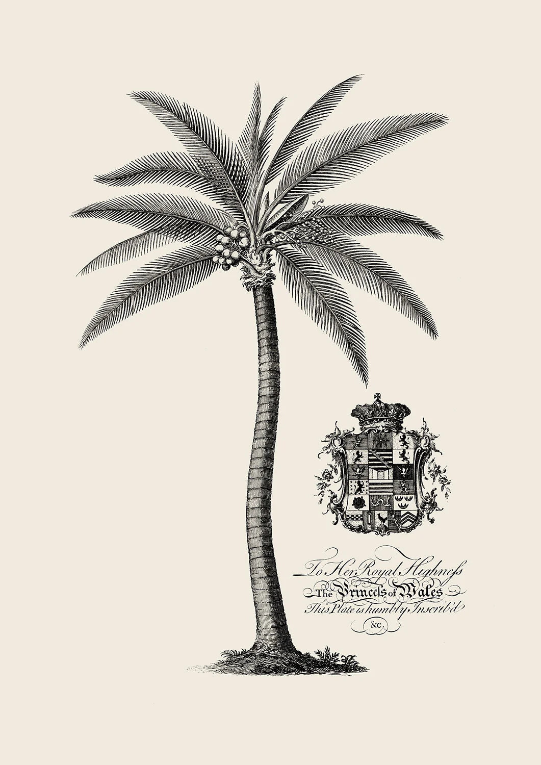 Wonderland Palm 2 - Poster Print