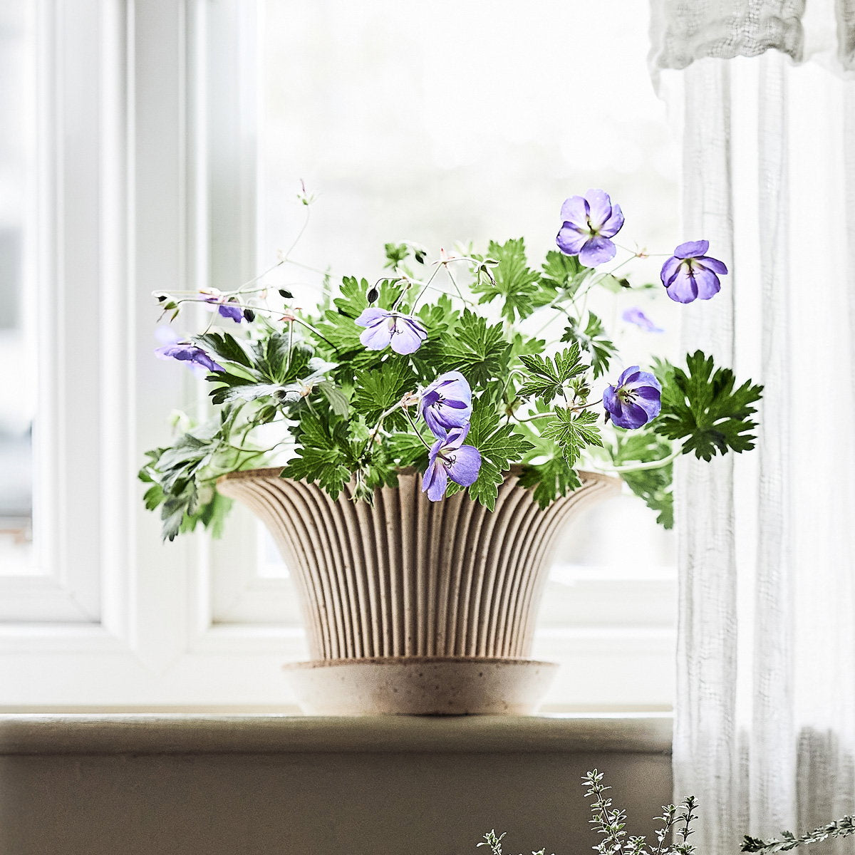 Daisy RAW Rosa Terracotta, 25cm Ø