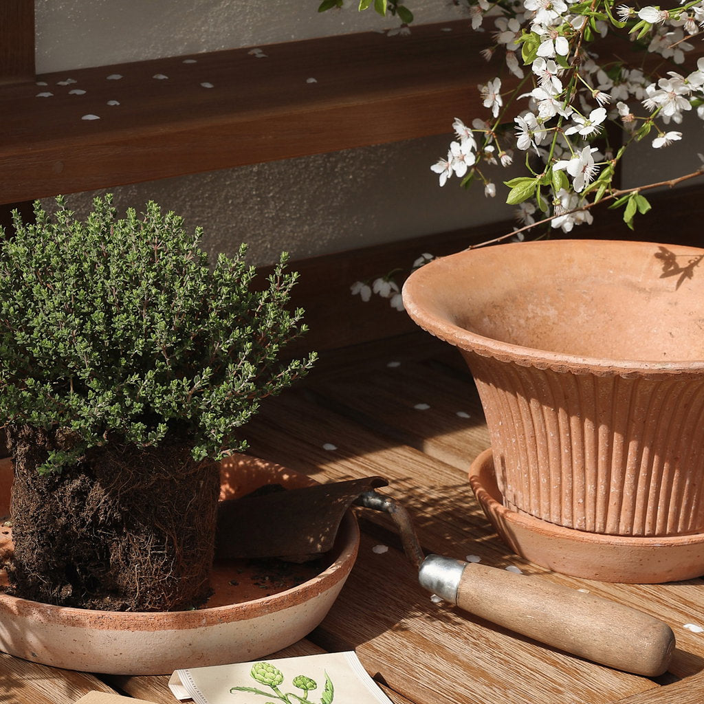 Daisy RAW Rosa Terracotta, 25cm Ø