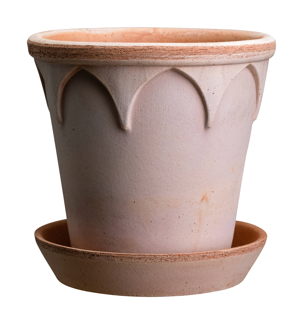 Elizabeth RAW Rosa Terracotta, 12cm Ø