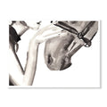 Equestrian Watercolour Print