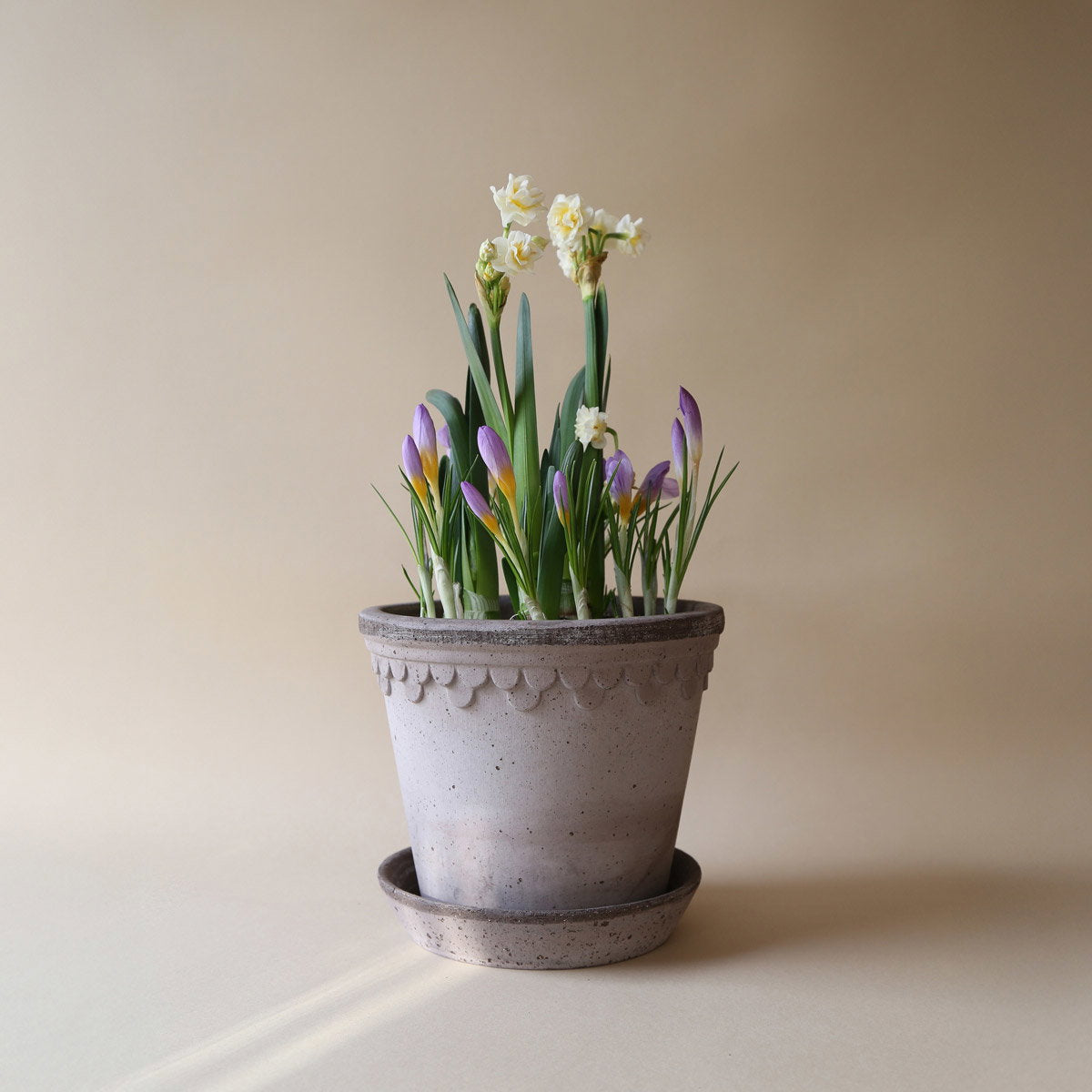 København RAW Grey Terracotta, 12cm Ø