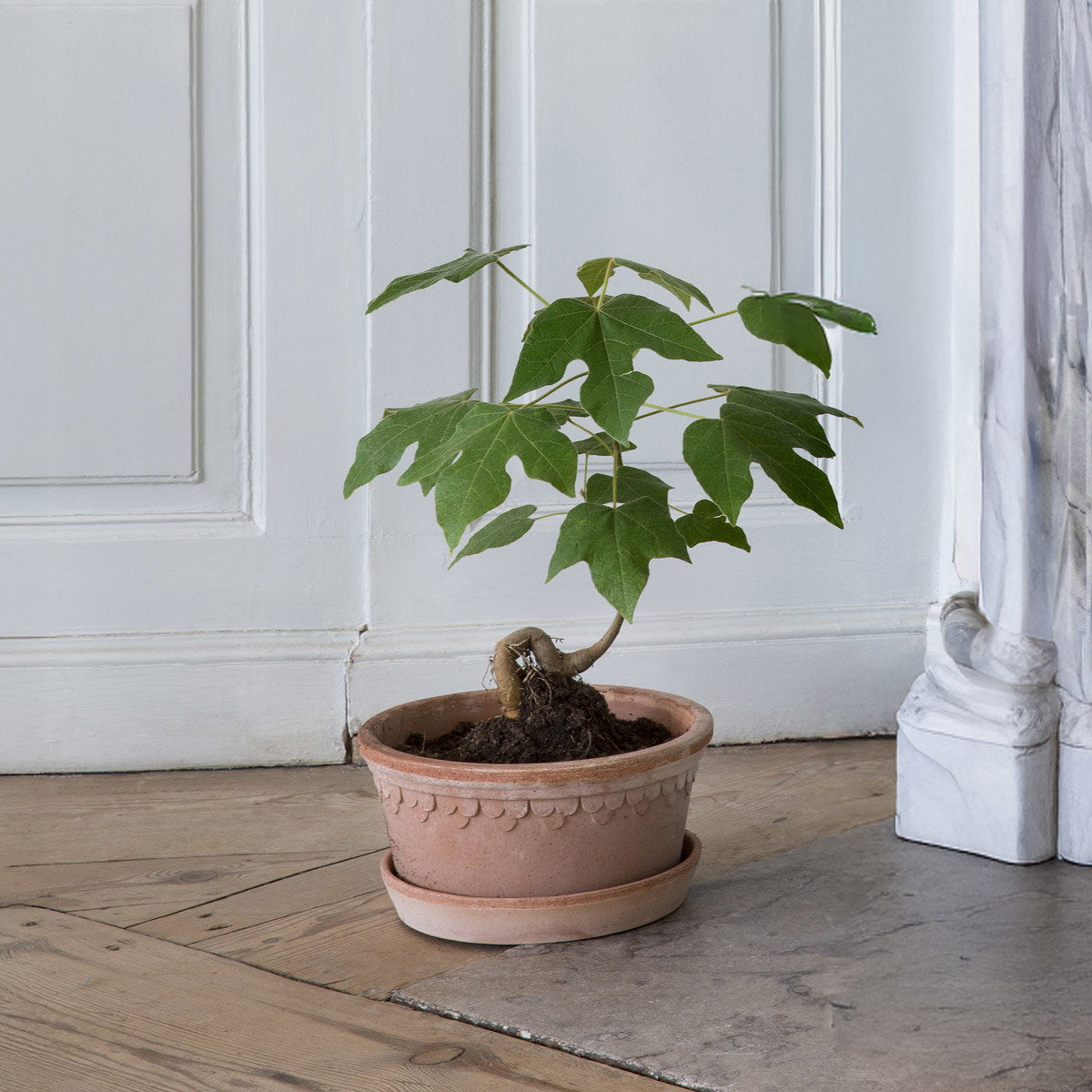 København RAW Rosa, 21cm Ø Low