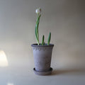 København RAW Grey Terracotta Tall, 14cm Ø