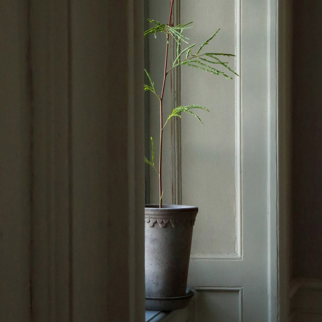 København RAW Grey Terracotta Tall, 14cm Ø