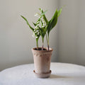 København RAW Rosa Tall, 18cm Ø