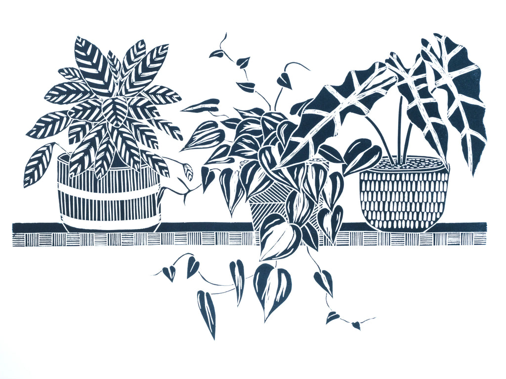3 Houseplants on Shelf by Linolord