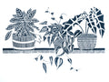 3 Houseplants on Shelf by Linolord
