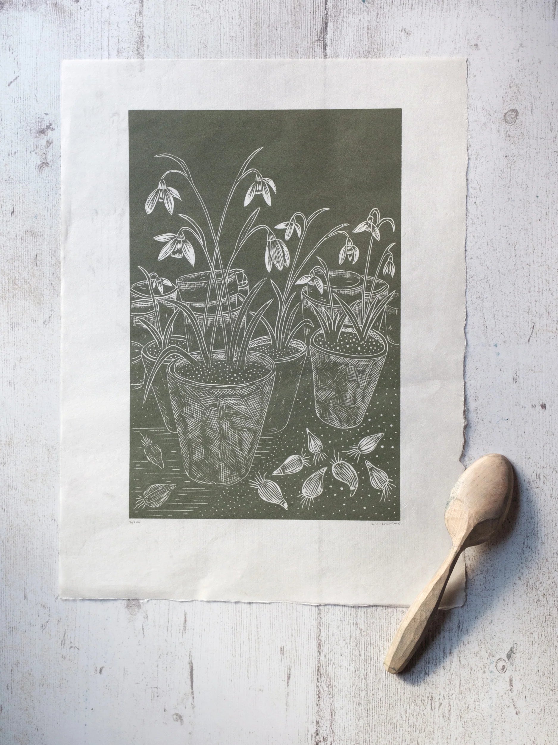 Snow Drops in Terracotta Pots Linolord Print