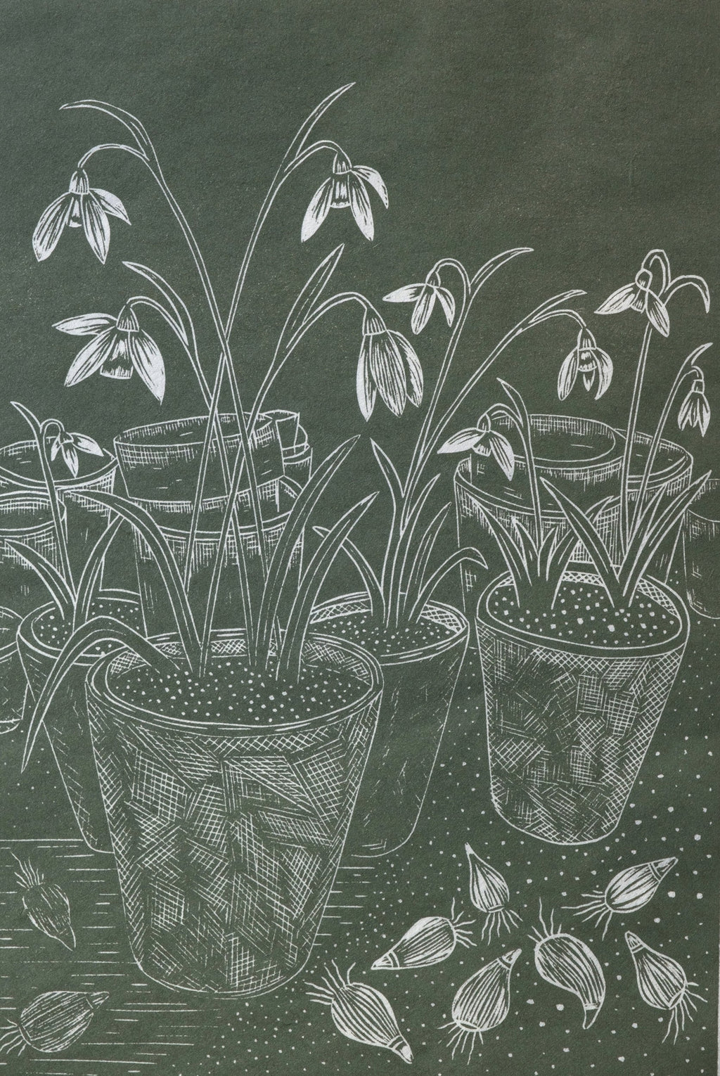 Snow Drops in Terracotta Pots Linolord Print