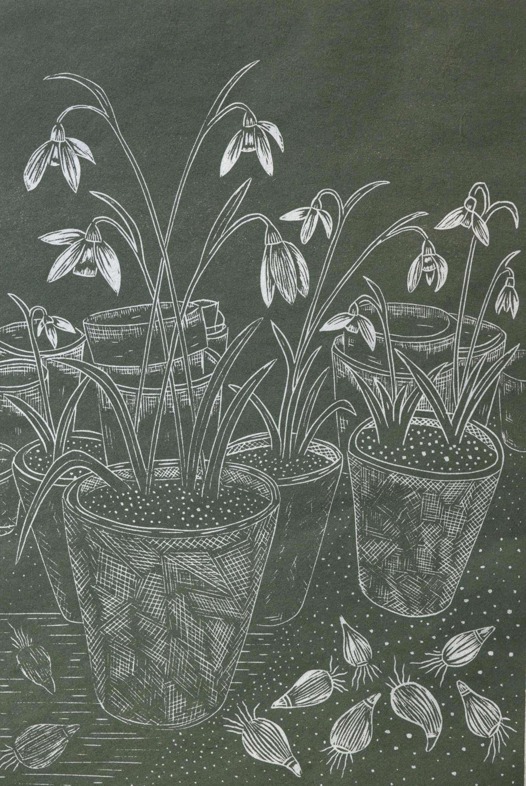 Snow Drops in Terracotta Pots Linolord Print