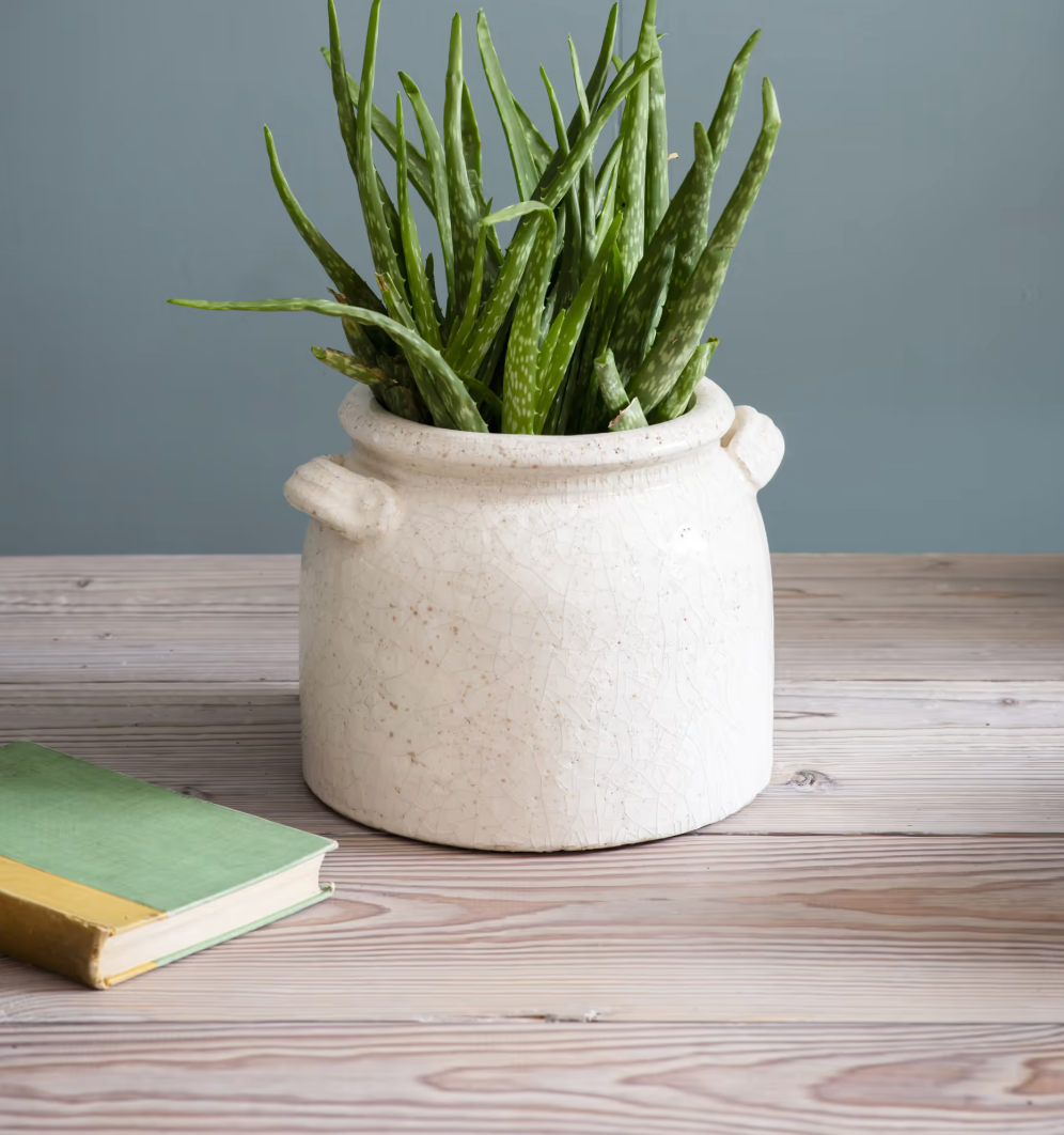 Weathered Glazed Pot