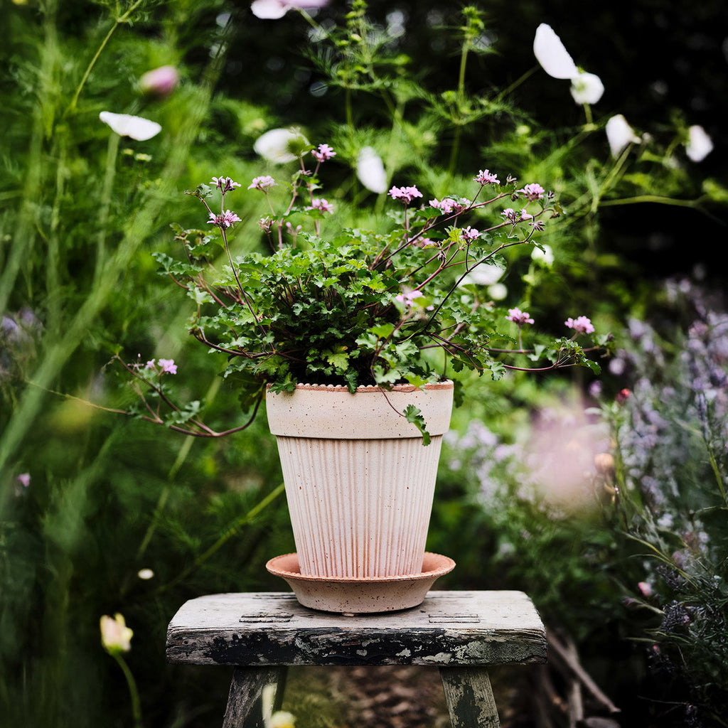 Simona RAW Rosa Terracotta, 12cm Ø