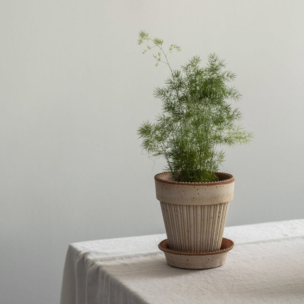 Simona RAW Rosa Terracotta, 12cm Ø