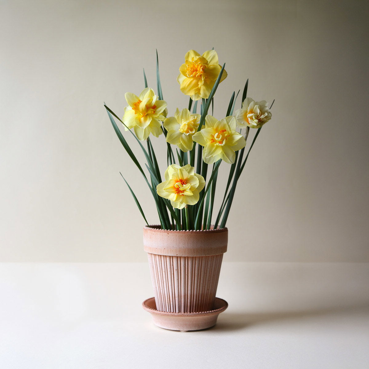 Simona RAW Rosa Terracotta, 12cm Ø