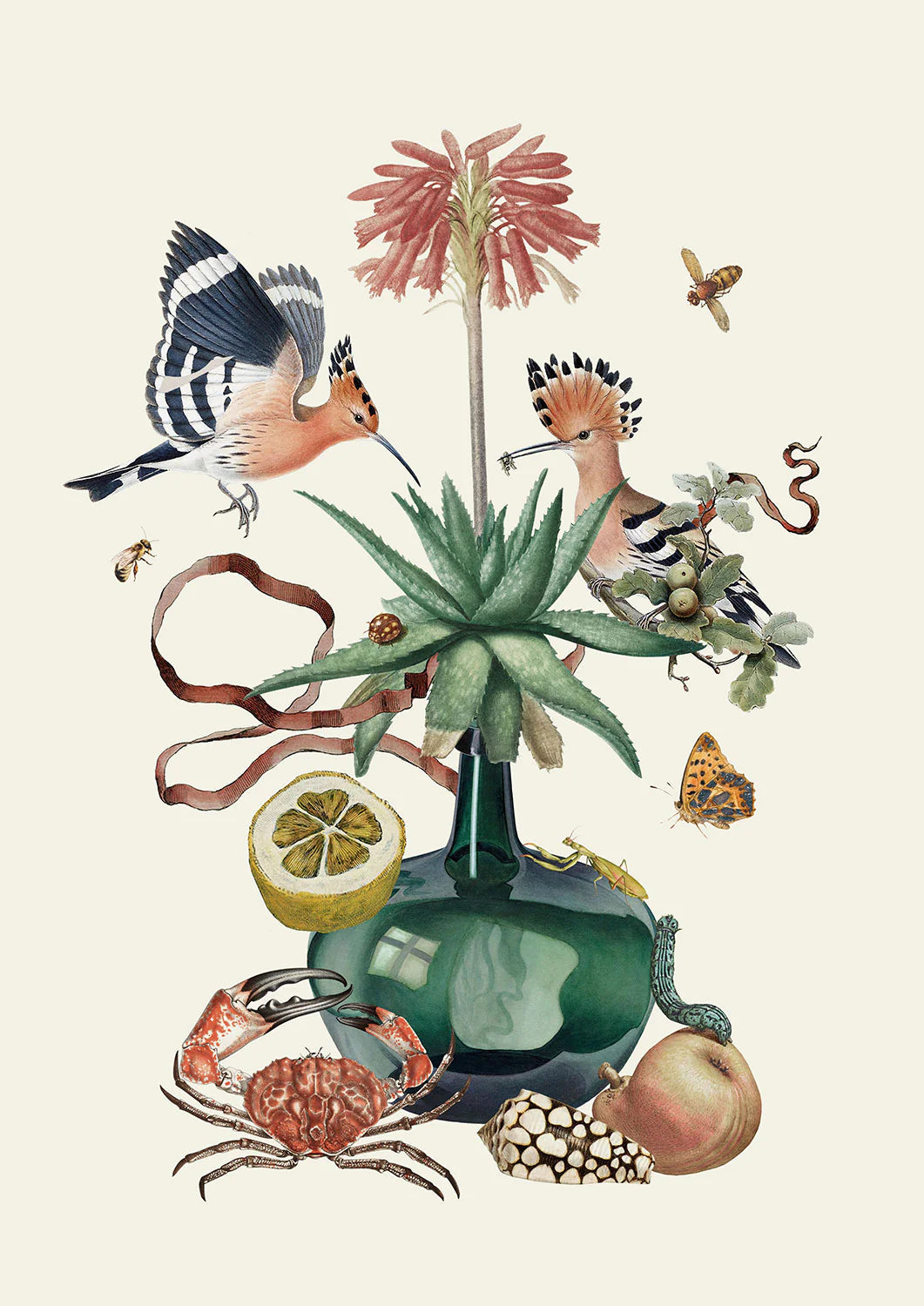 Aloe - Poster Print