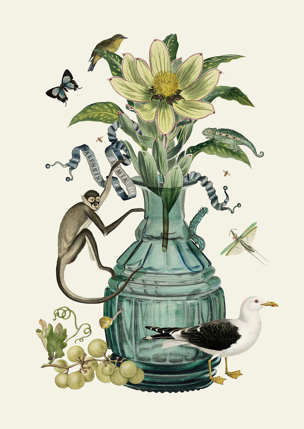 Seagull - Poster Print