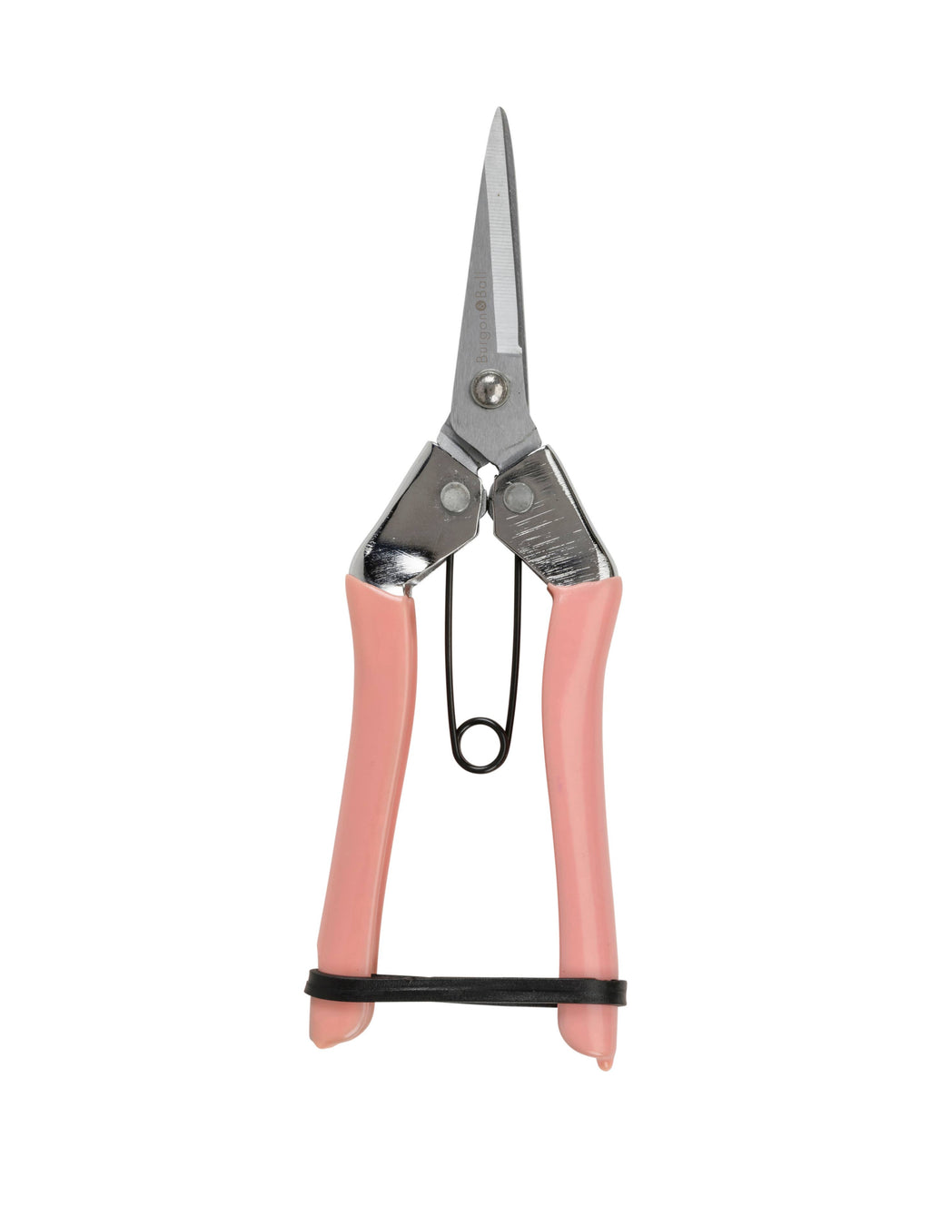 NEW Collectors Blush Fruit and Flower Snips