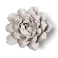 Ceramic Flower - Comanche Peony  in Ivory