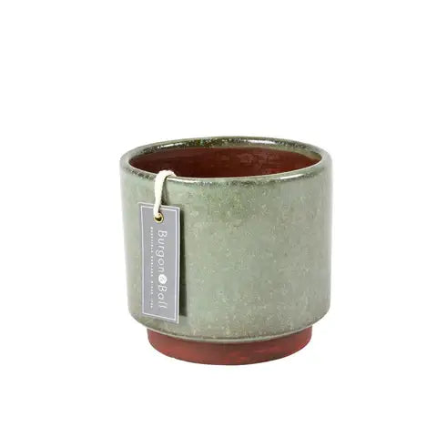 Malibu Medium - Green