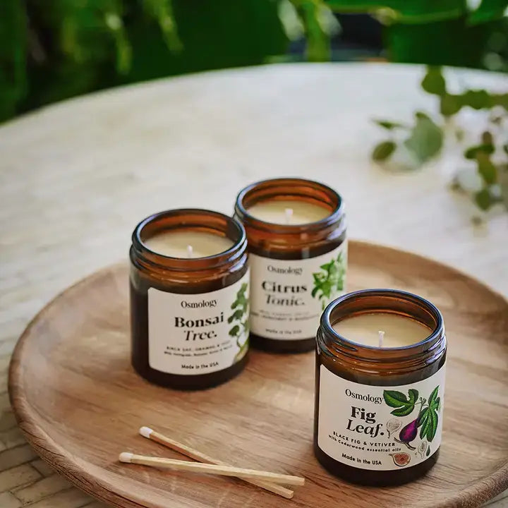 Fig Leaf Scented Jar Candle
