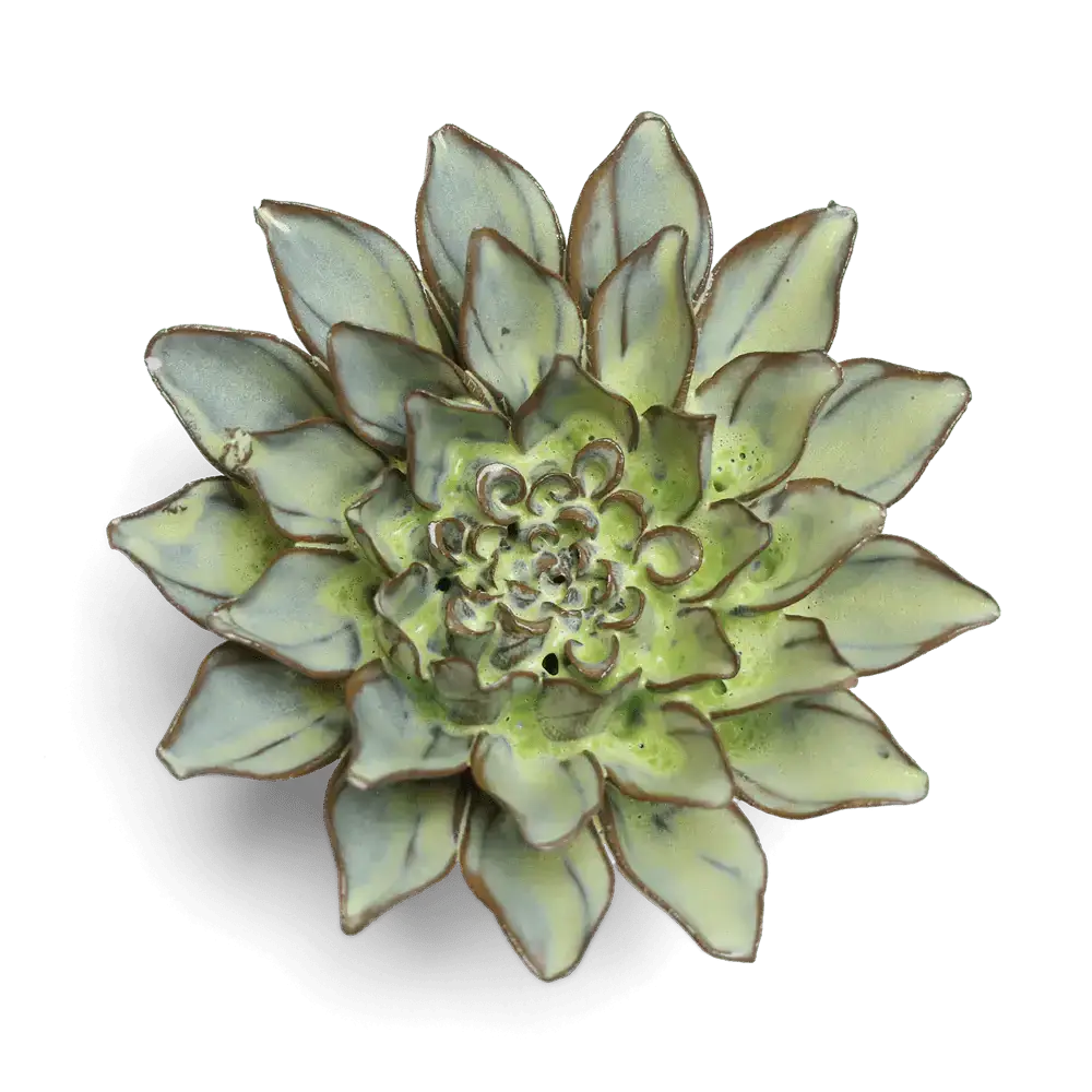 Pear Green Aster Flower