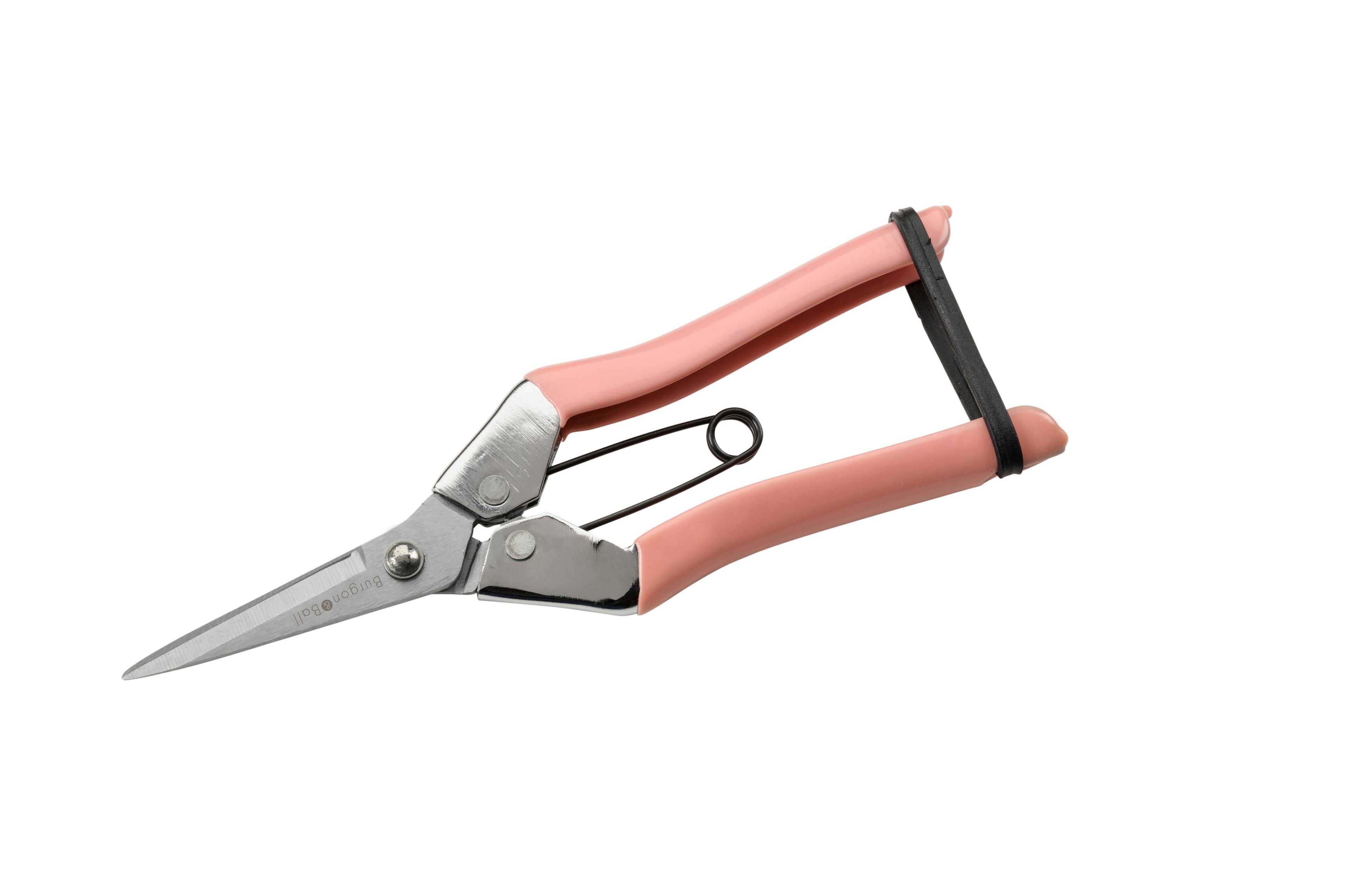 NEW Collectors Blush Fruit and Flower Snips