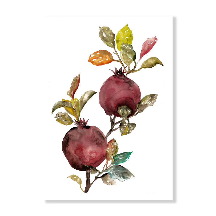 Pomegranate Watercolour Print